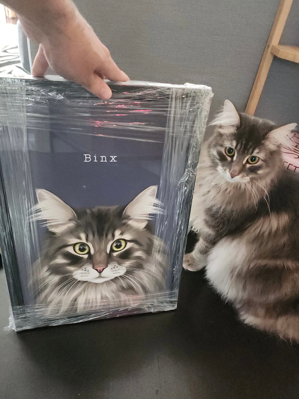 Customer photo review of Custom Cat Portrait