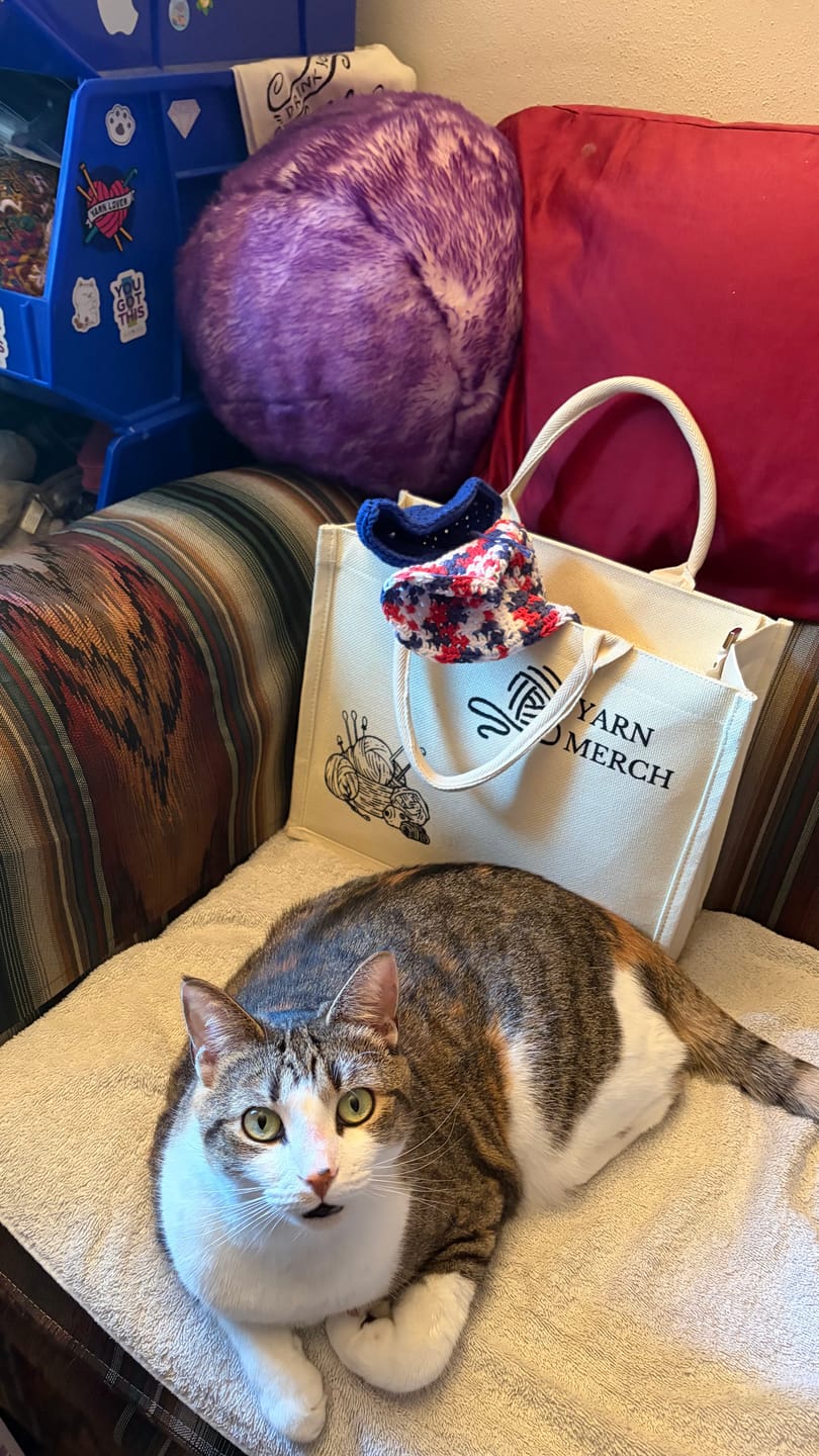 Customer photo review of Yarnmerch Signature Premium Tote Bag
