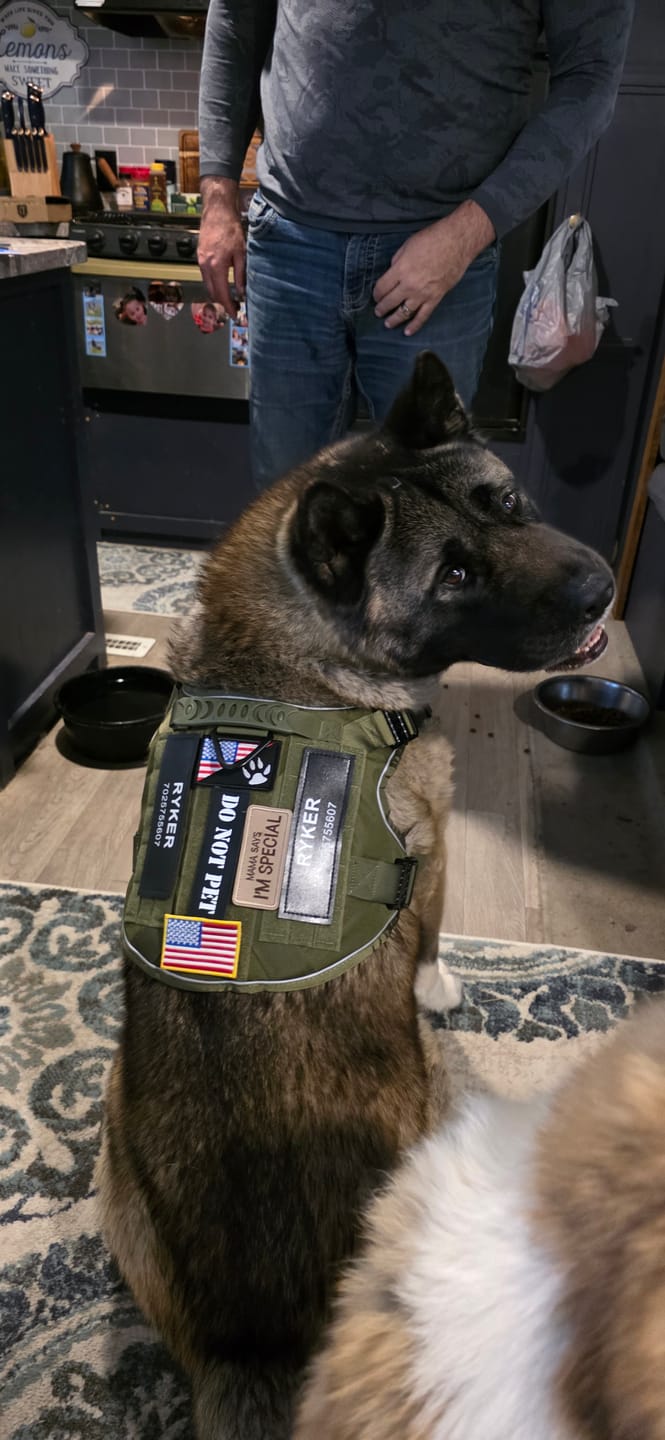 Customer photo review of Team K9® Custom Harness Patch (Printed Pair)