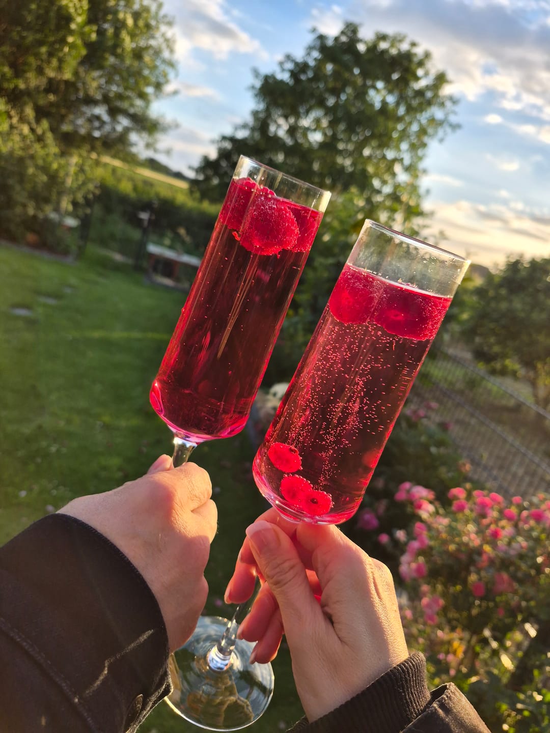 Customer photo review of Lambertus Granatapfellikör 15%
