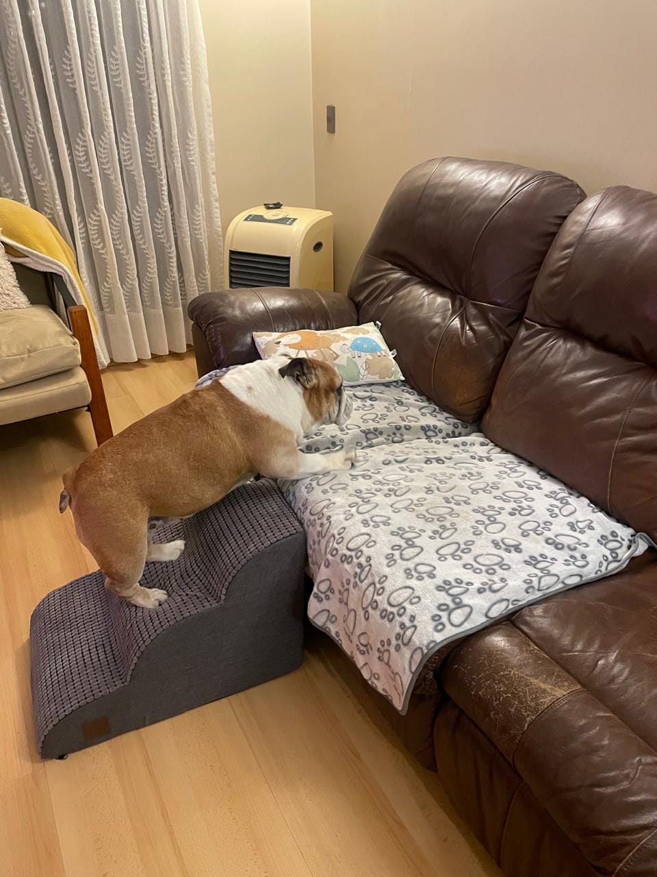 Customer photo review of Rampa Pendiente Suave THE DOGS