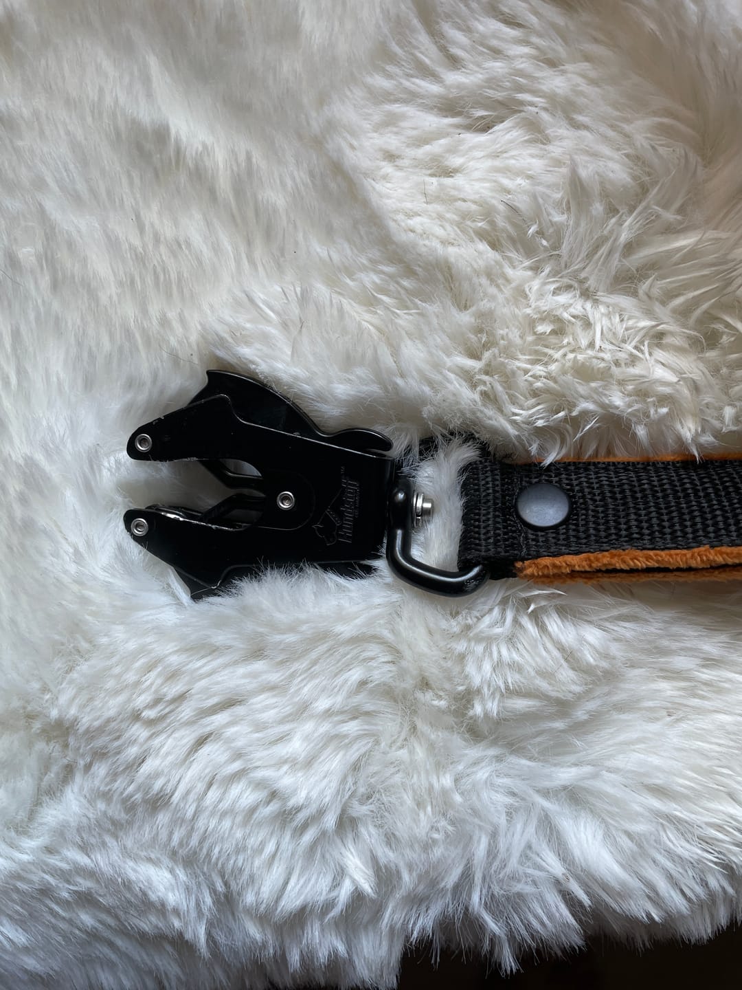 Customer photo review of Guard Leash Black Edition Orange - Väktarkoppel med extra handtag