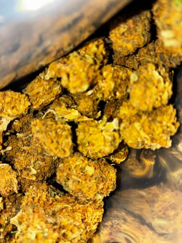 Customer photo review of Cheap THCA Flower Ounce