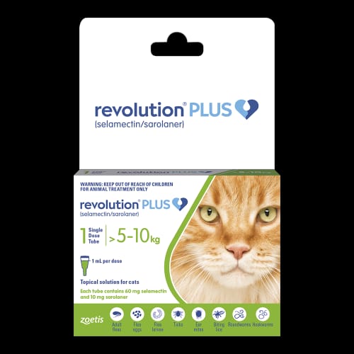 Customer photo review of Revolution PLUS for Large Cats 5-10kg