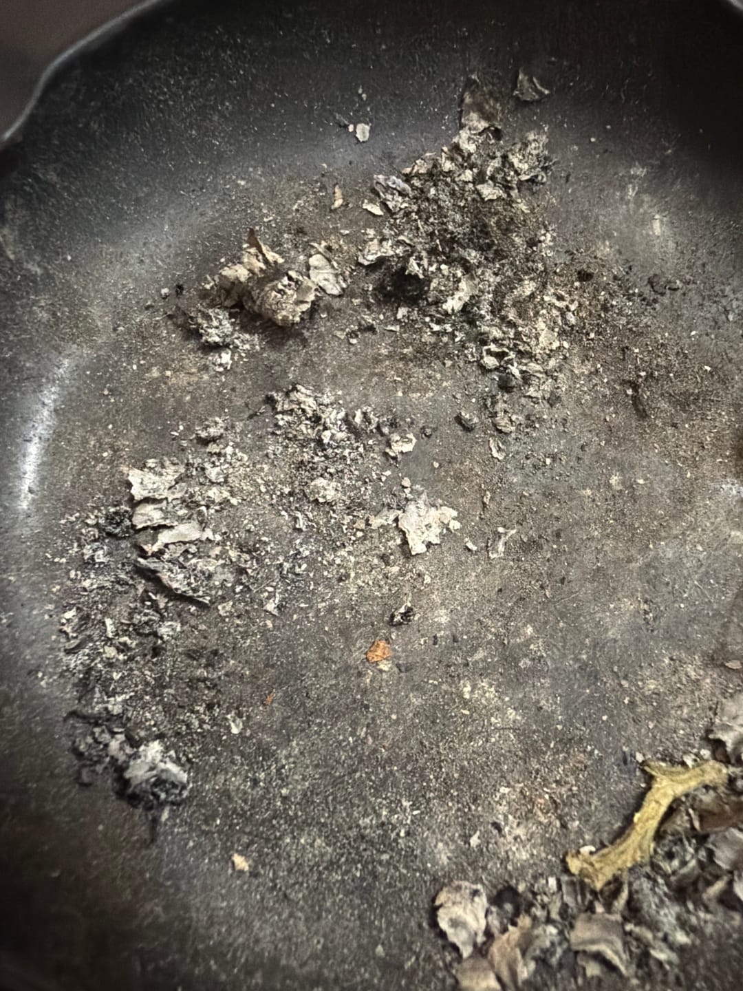 Customer photo review of Blueberry Muffins Mediums - Bulk Mediums - Indica
