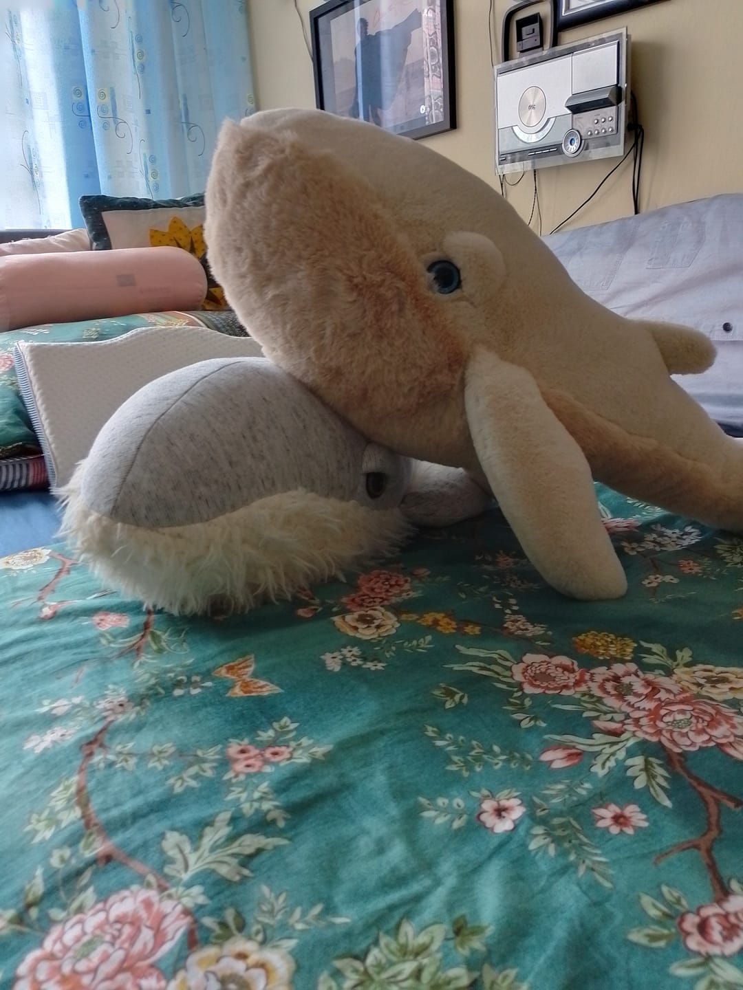 Customer photo review of The Whale