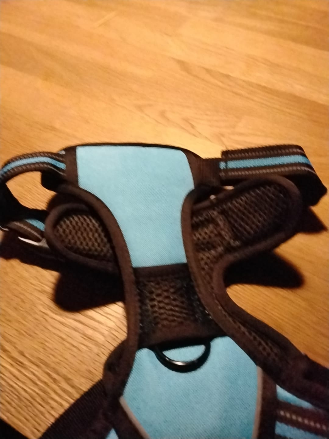 Customer photo review of TruePet Anti-Zug Hundegeschirr | No-Pull mit Front-D-Ring (Zinklegierung) | Air-Mesh Gepolstert | Reflektierend | 9 Farben | S-XL