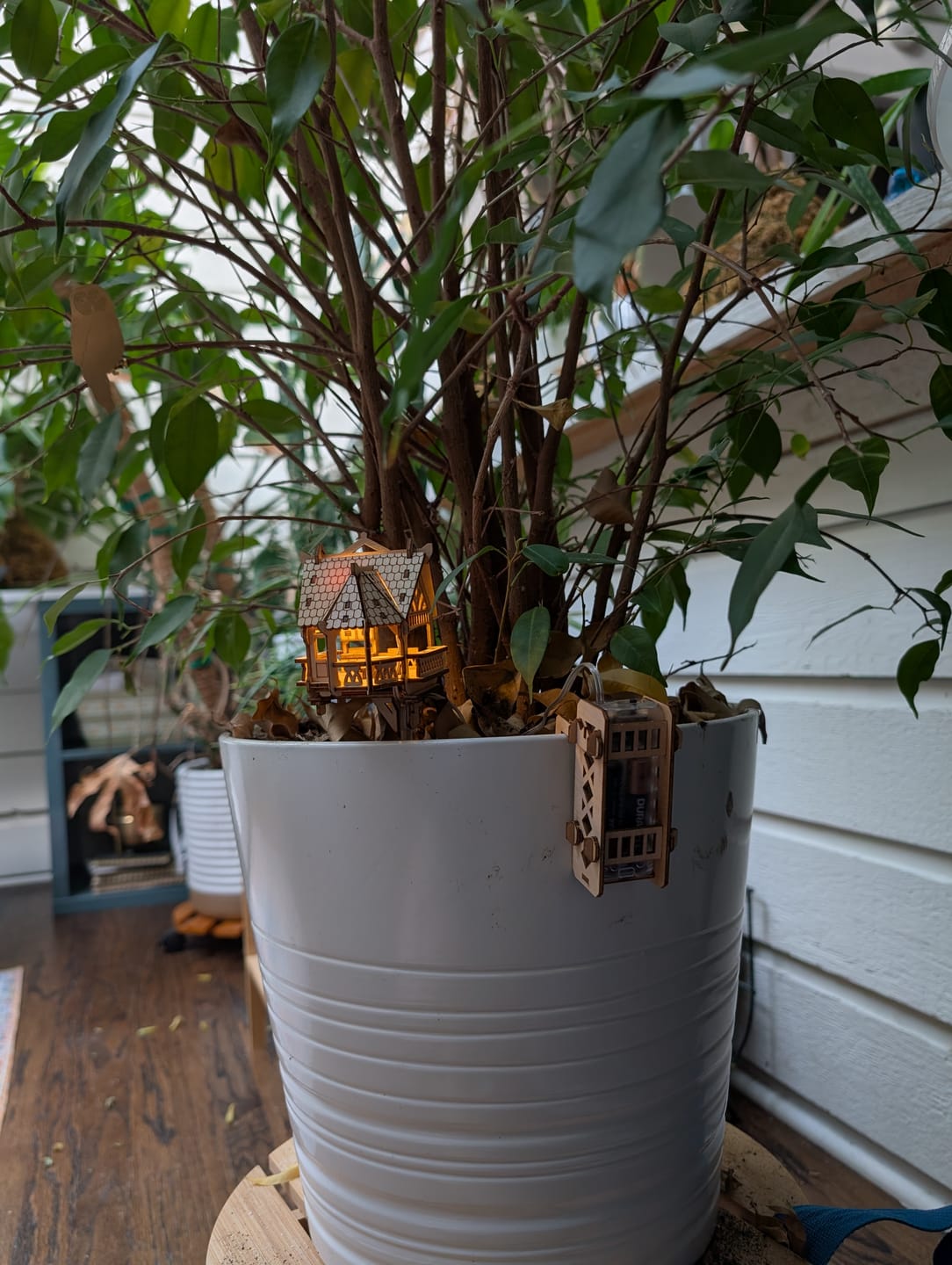 Customer photo review of Garden Vista