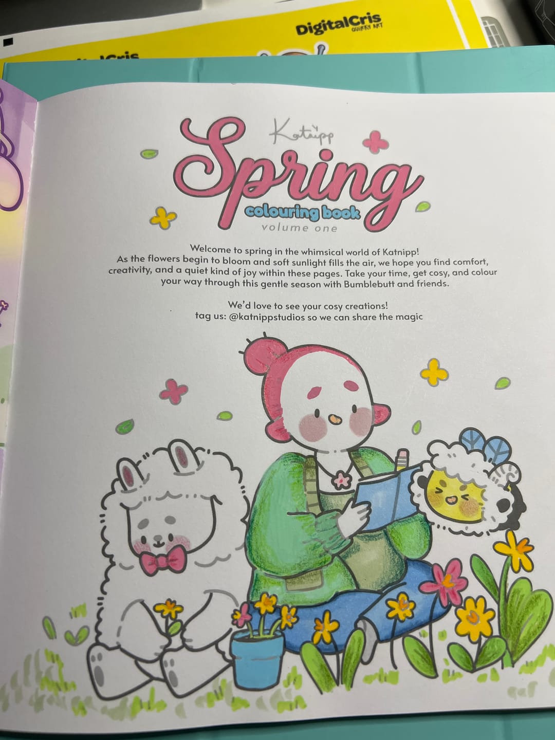 Customer photo review of Katnipp Soft Spring Comfort Colouring Book | Kawaii Spring Colouring Book Artist Edition