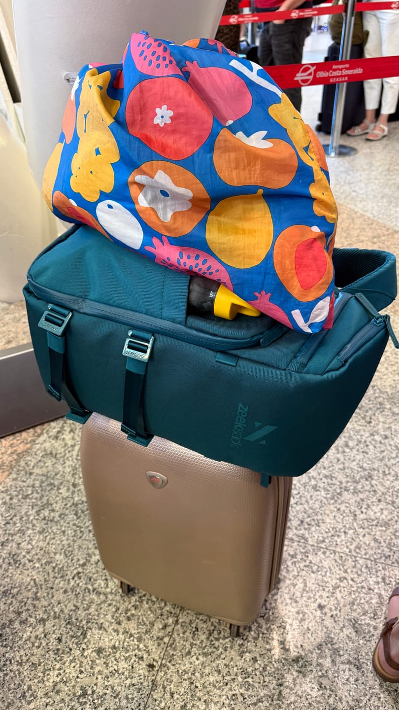 Customer photo review of The Organizer 20L