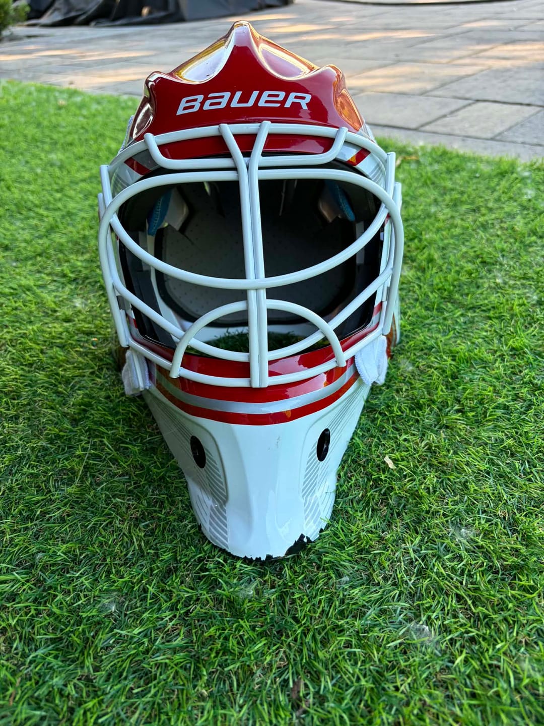 Customer photo review of Grille Cat-Eye Pro Cage