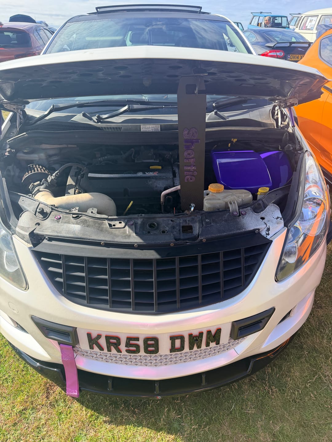 Customer photo review of Custom Universal Bonnet Props (4D Acrylic)