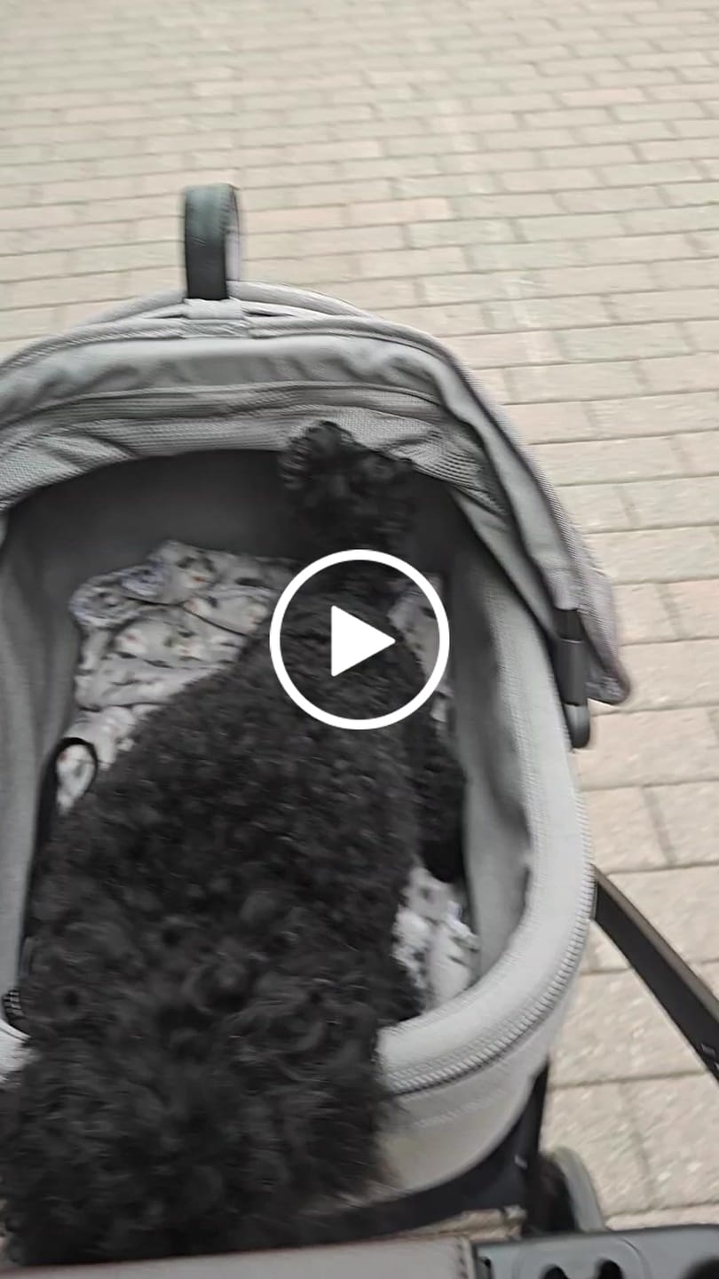 Customer video review of Maeve ISO5X Travel System - Lemmikkirattaat