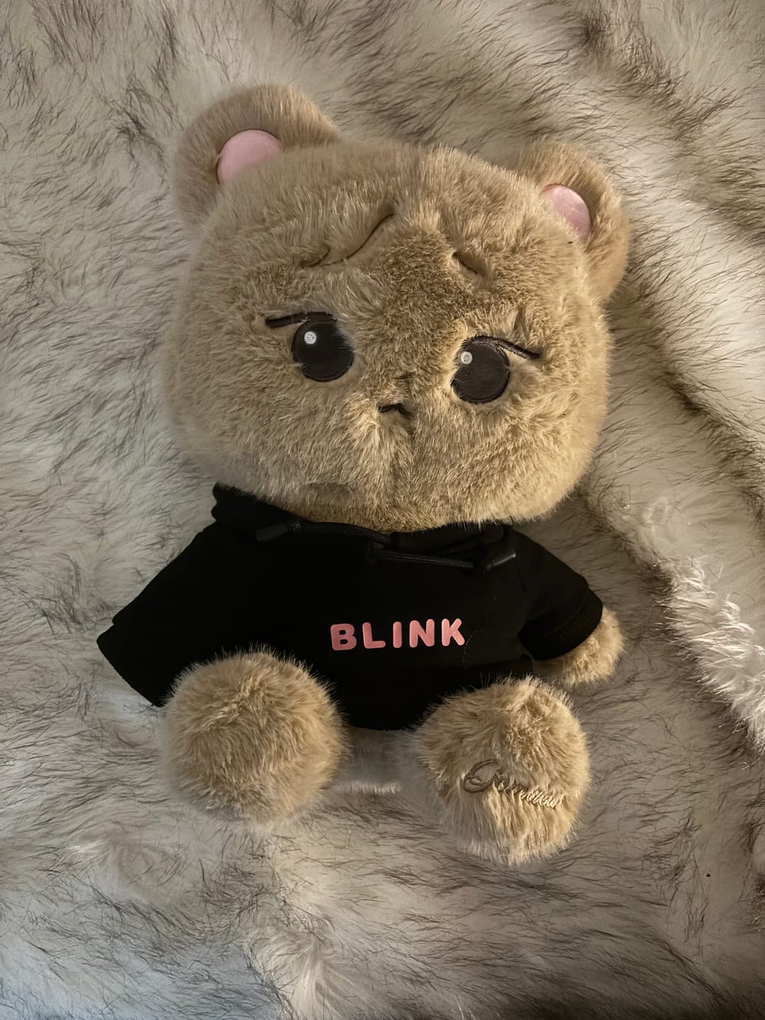 Customer photo review of BLACKPINK [DEADLINE Pop Up] Character Plush Doll