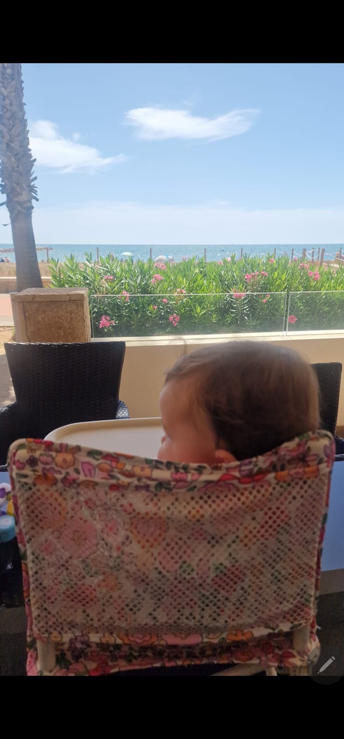 Customer photo review of Paloma baby chair EU