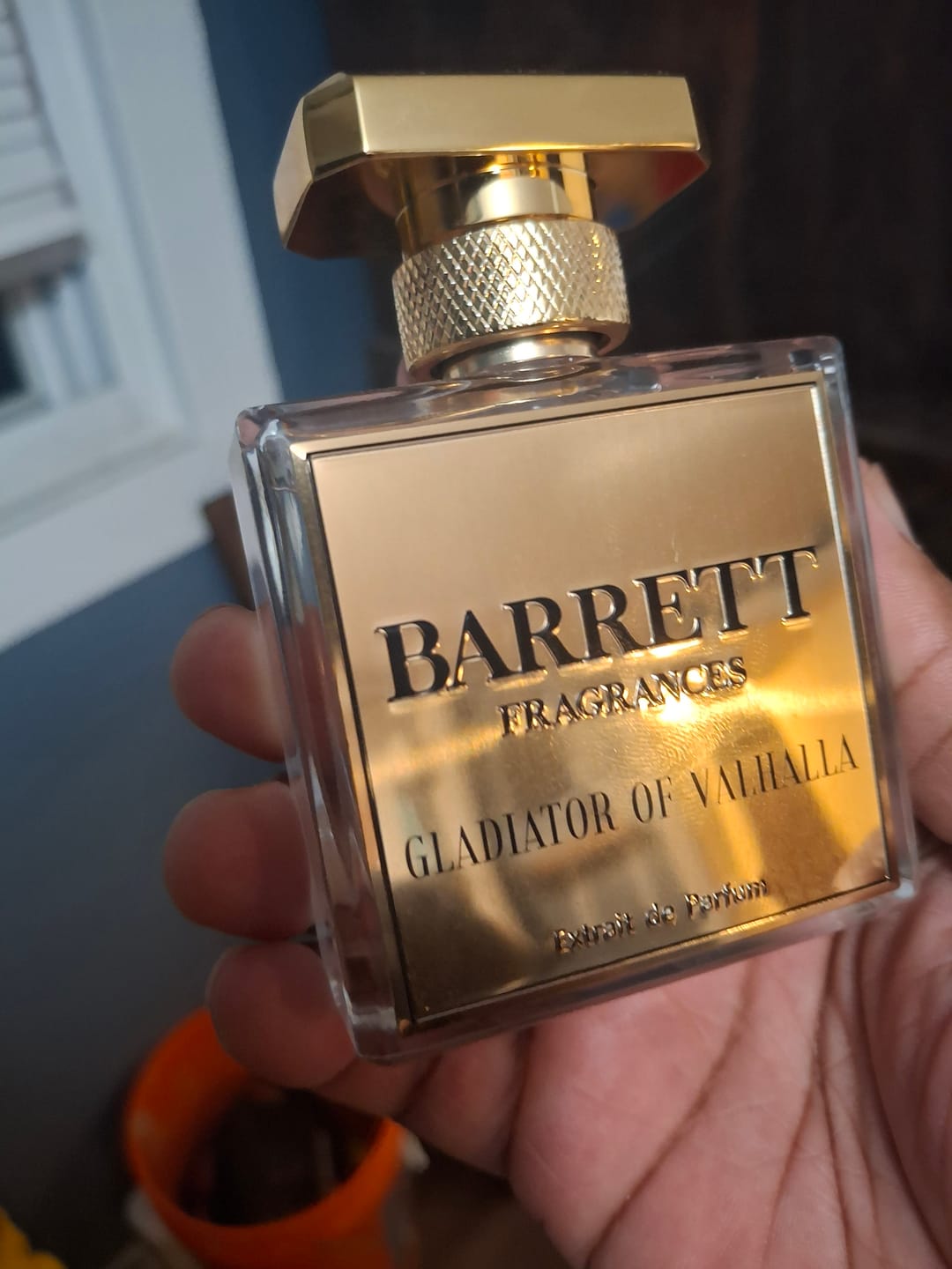 Customer photo review of Gladiator Of Valhalla inspired by Aventus and Elysium
