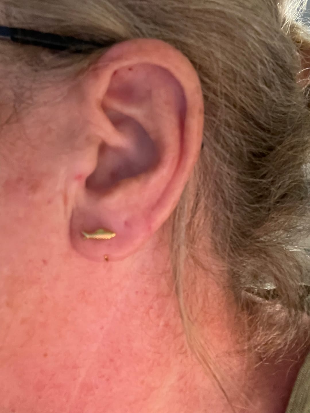 Customer photo review of Sardine Comfort Earrings — Gold