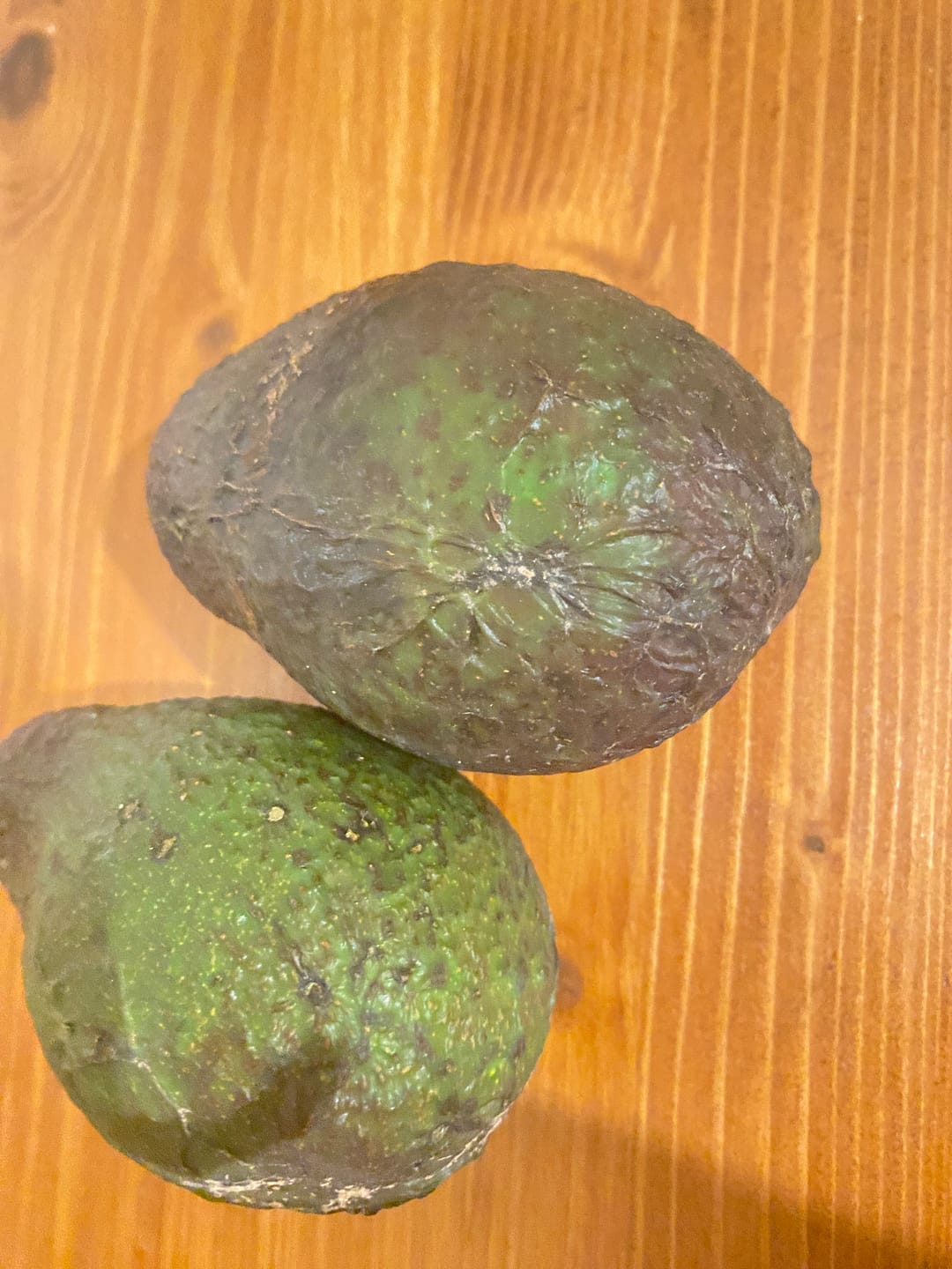 Customer photo review of Avocado "Lamb Hass" 13 Monate baumgereift von Julian