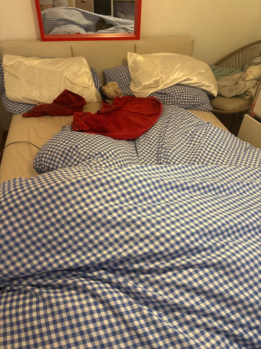 Customer photo review of Daunen Bettdecke mit Federn