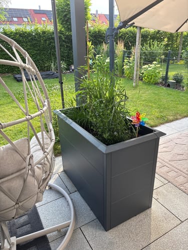 Customer photo review of Schneckenschutz für AlbersDesign Hochbeet HB2