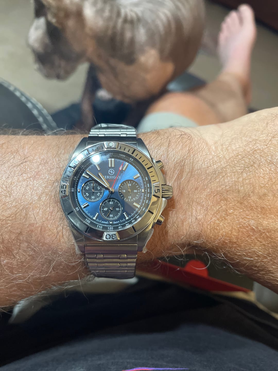 Customer photo review of Bersigar Bellatrix 1705