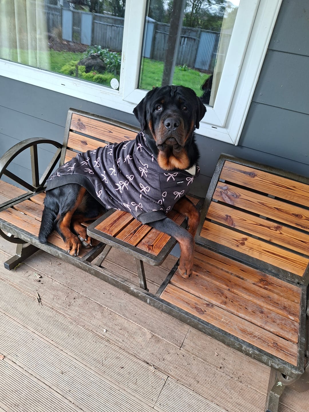 Customer photo review of Coquette Dog Hoodie