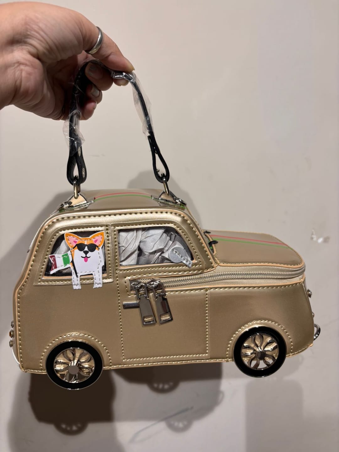 Customer photo review of Coco Cruiser Bag