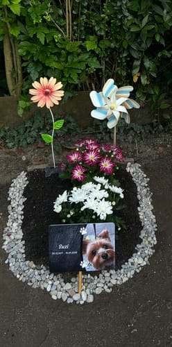 Customer photo review of Hunde Gedenktafel mit Foto & Spruch (UV- & Wetterfest)