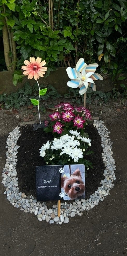 Customer photo review of Hunde Gedenktafel mit Foto & Spruch (UV- & Wetterfest)