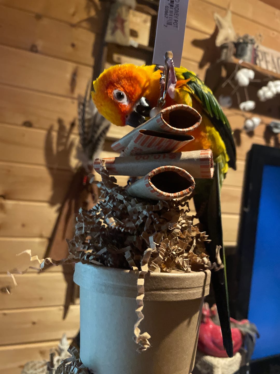 Customer photo review of 3867 Duo Money Pot