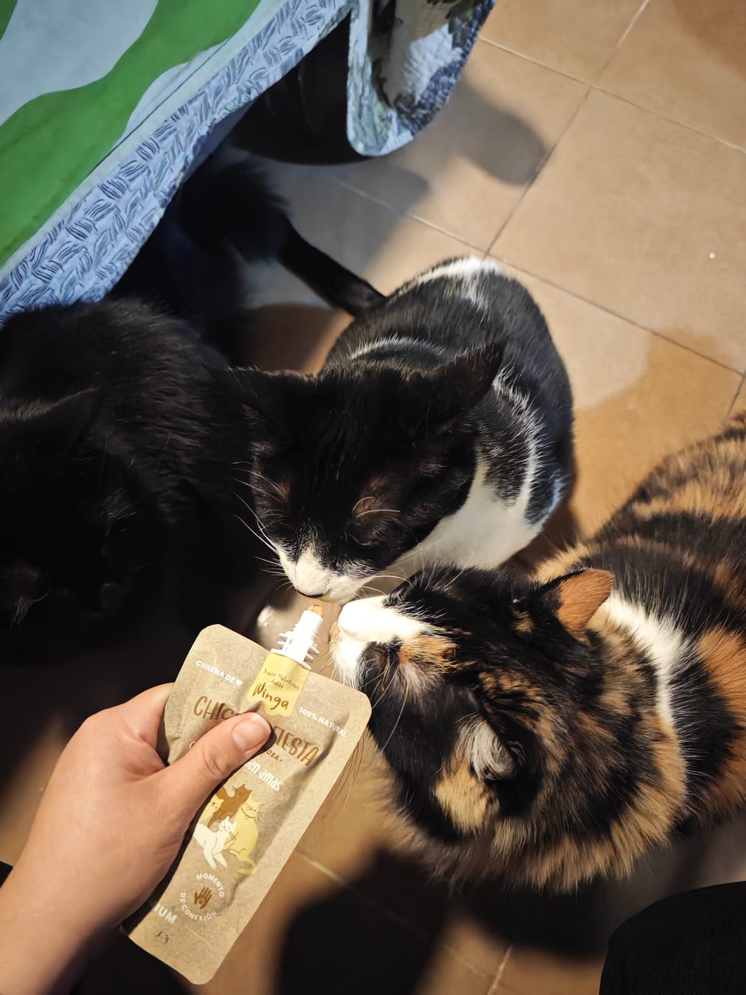 Customer photo review of Chicken Fiesta Gatos