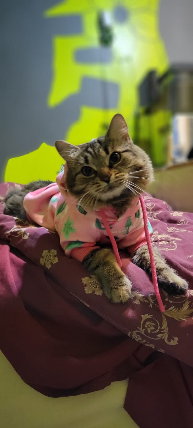 Customer photo review of Blossom Dog Hoodie - Pink