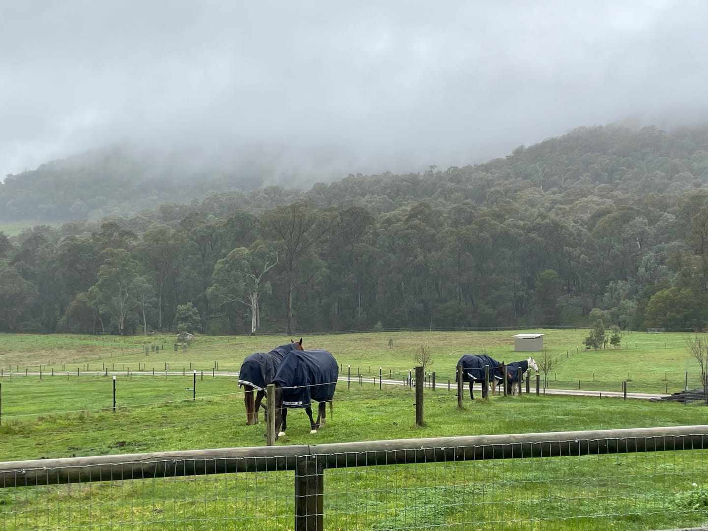 Customer photo review of LE Boxter Turnout Ripstop 0g with Fleece