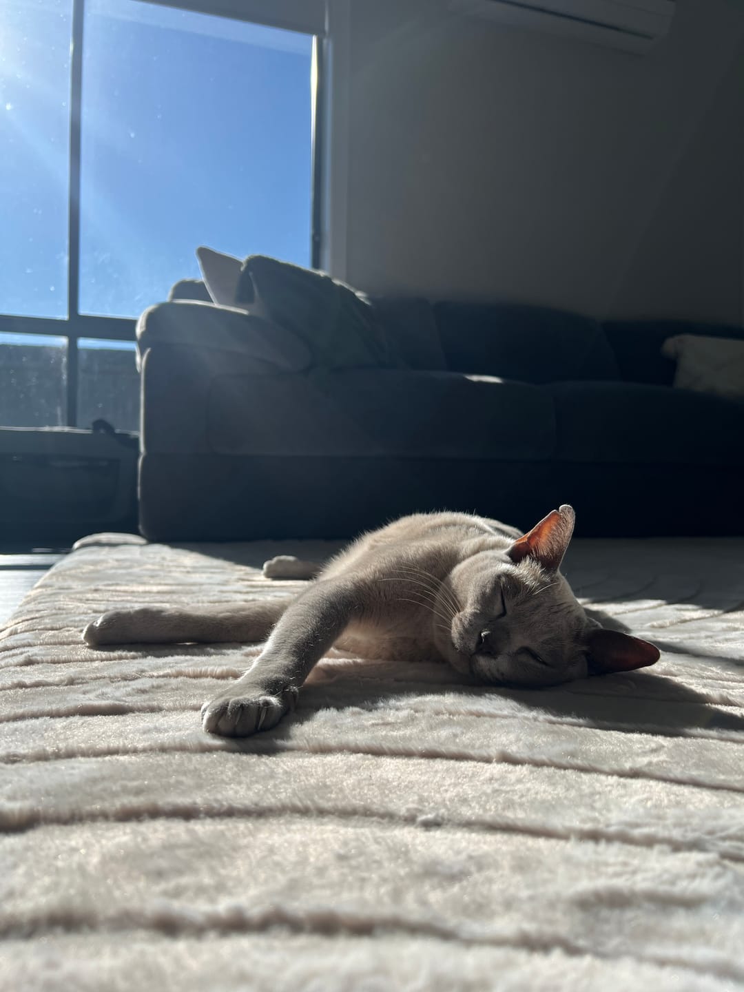 Customer photo review of Designer Relax Mat - 35mm Thick Foam Base