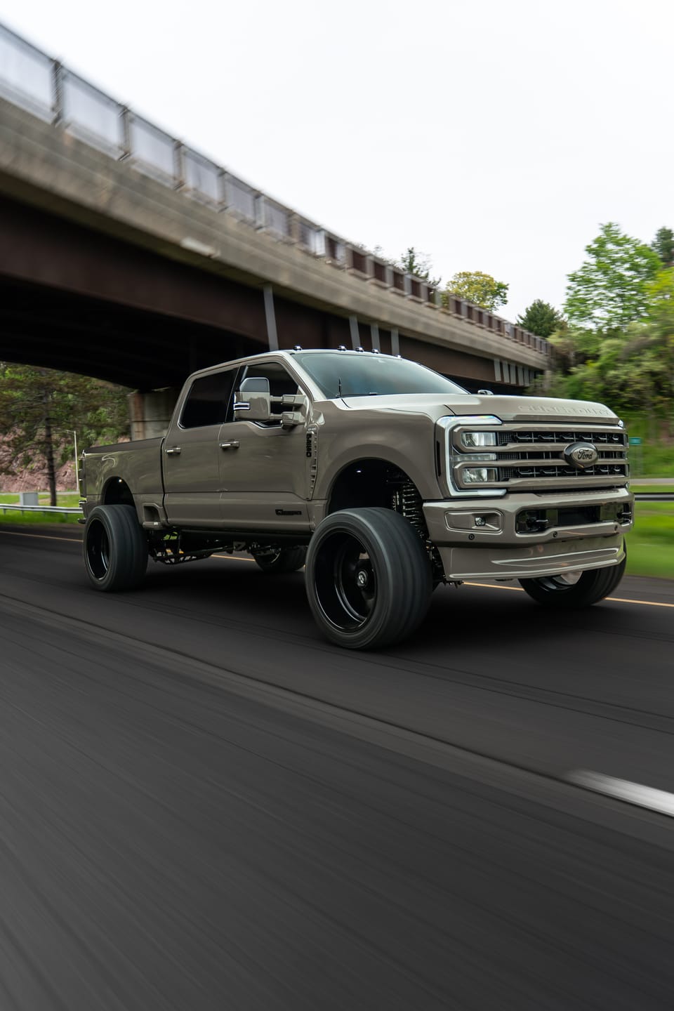 Customer photo review of Fast Pass - Bronze
