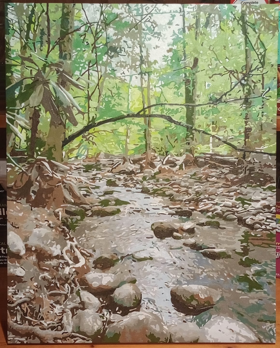 Customer photo review of Custom Paint by Numbers Kit