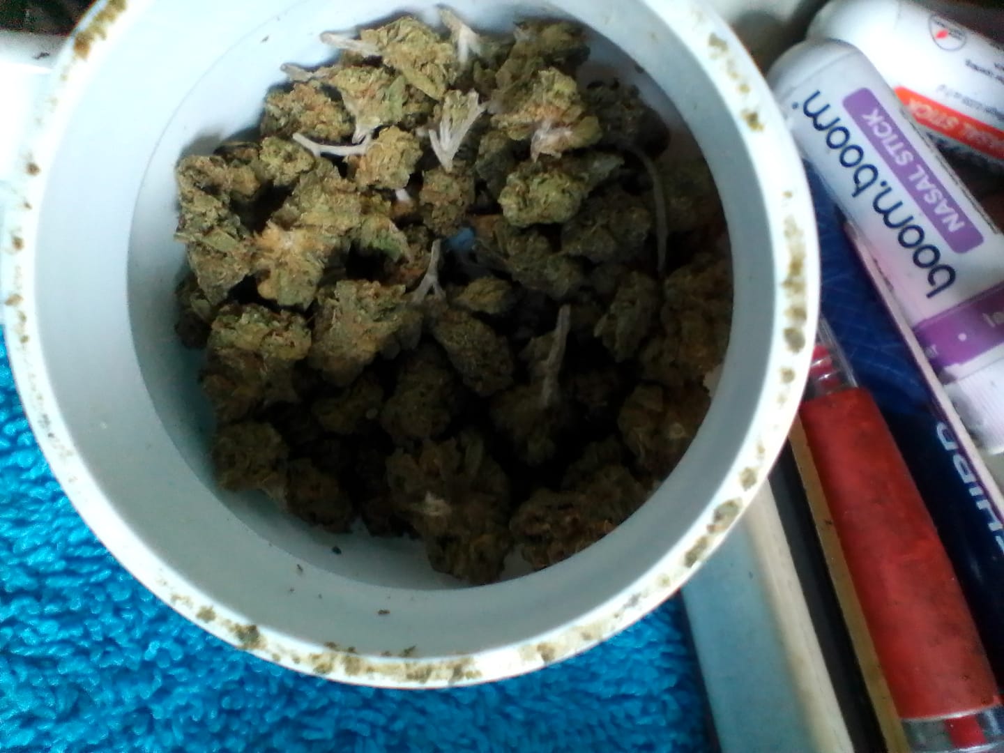 Customer photo review of Gelato Mintz - Minis - 28 Grams - Hybrid