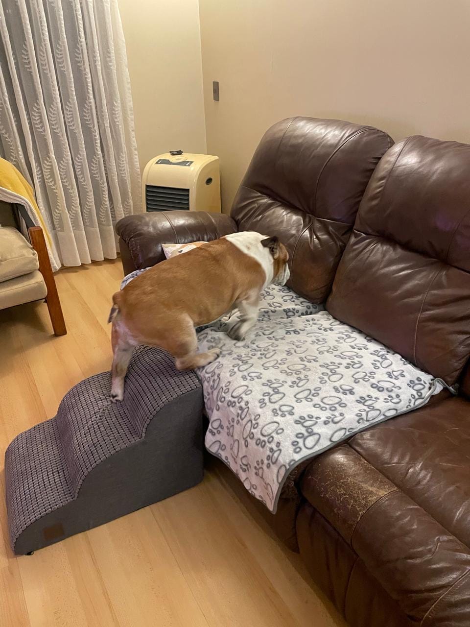 Customer photo review of Funda Impermeable THE DOGS — Auto limpio, perro seguro