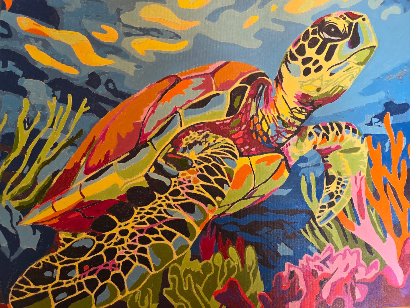 Customer photo review of Coral Reef Turtle