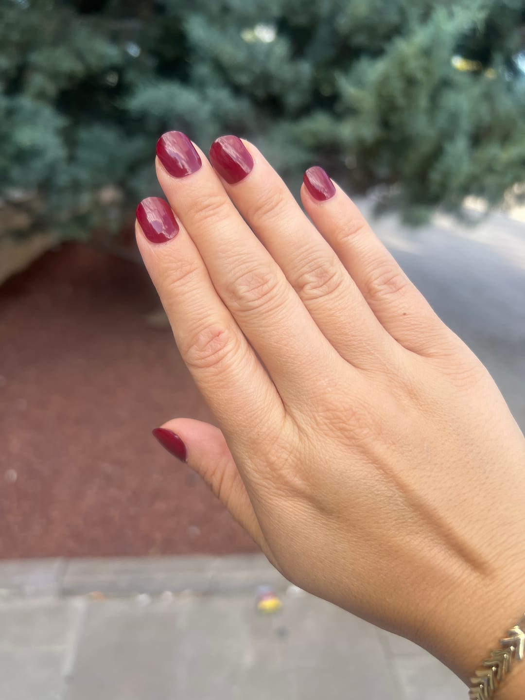 Customer photo review of N Classic Burgundy Jel Tırnak 30 Adet, 2 Kullanım