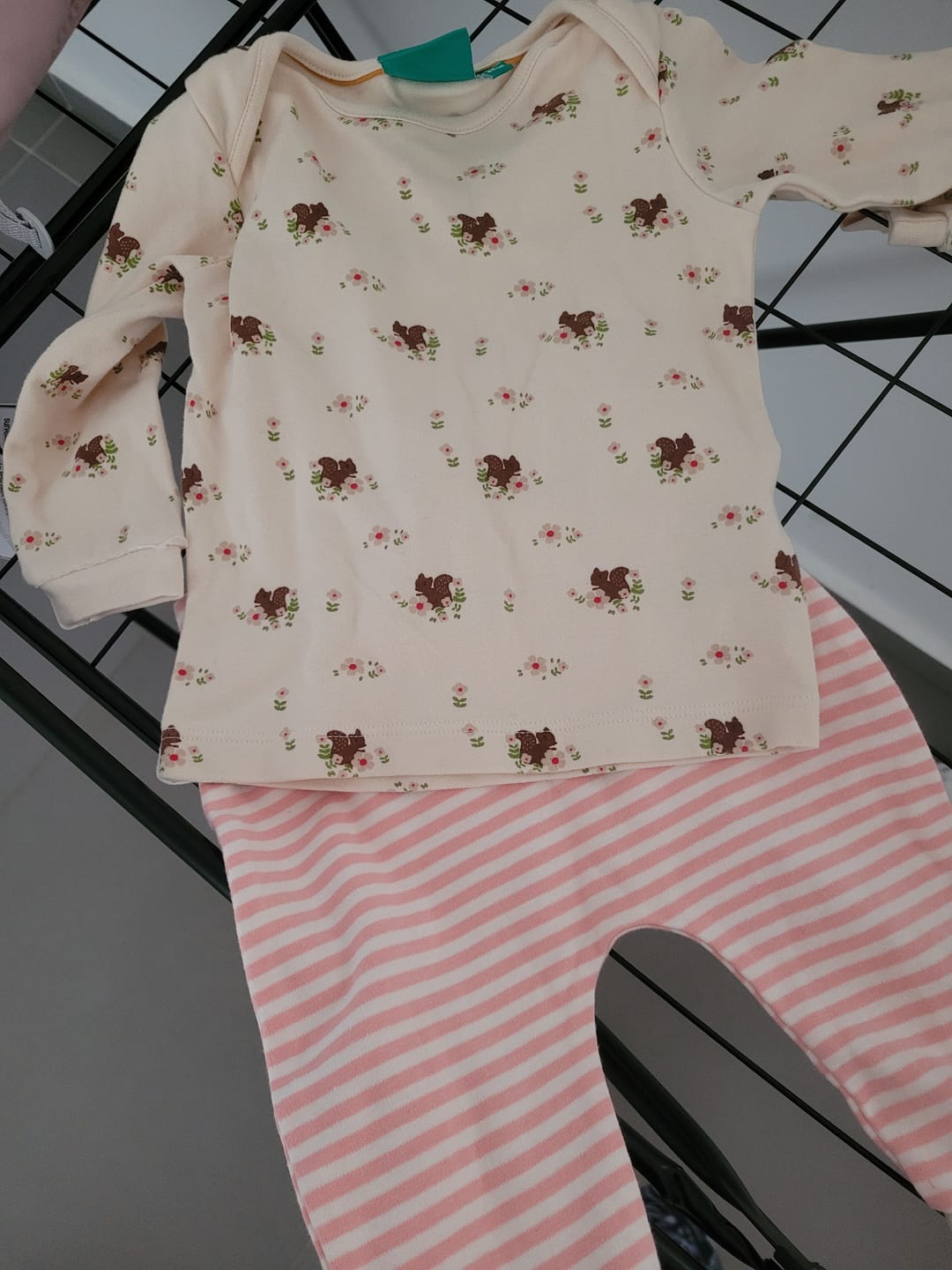 Customer photo review of Autumn Squirrel Organic T-Shirt & Jogger Playset