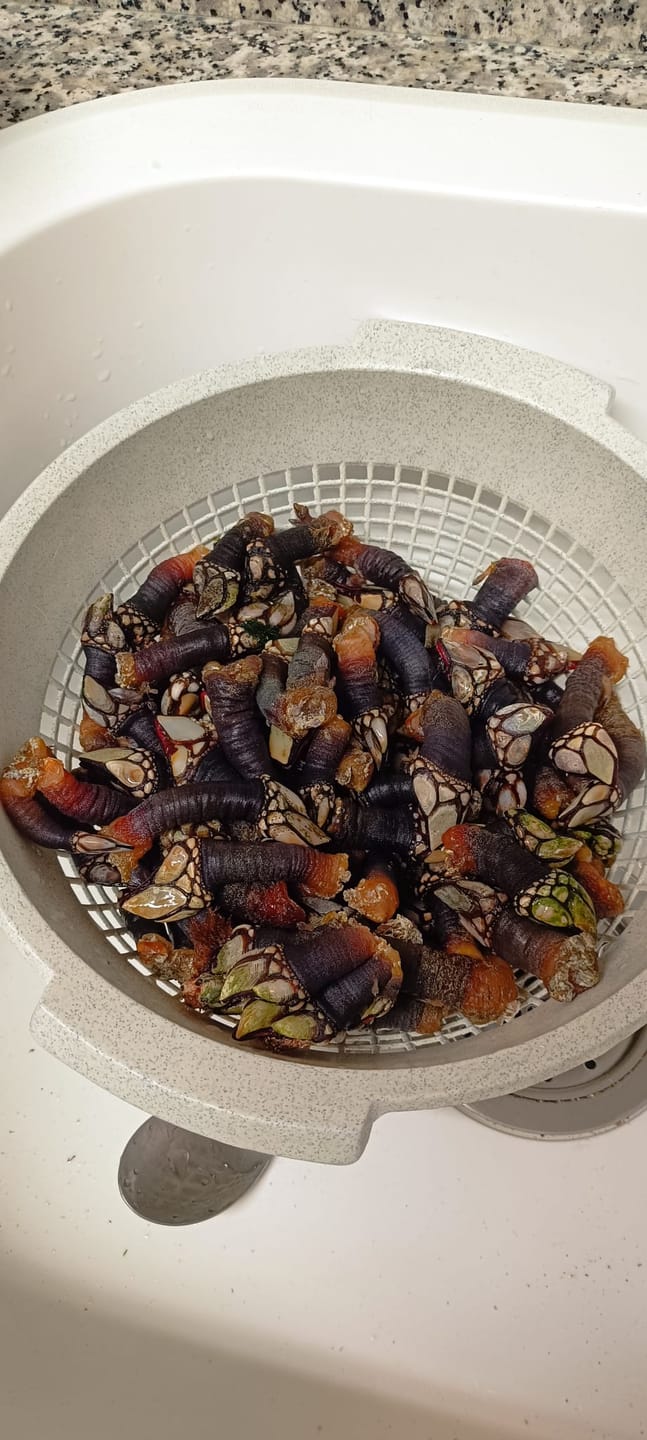 Customer photo review of Percebe