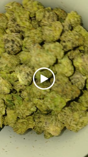 Boutique Exotics - Uncle Snoop - Minis - 14 Grams - Hybrid photo review