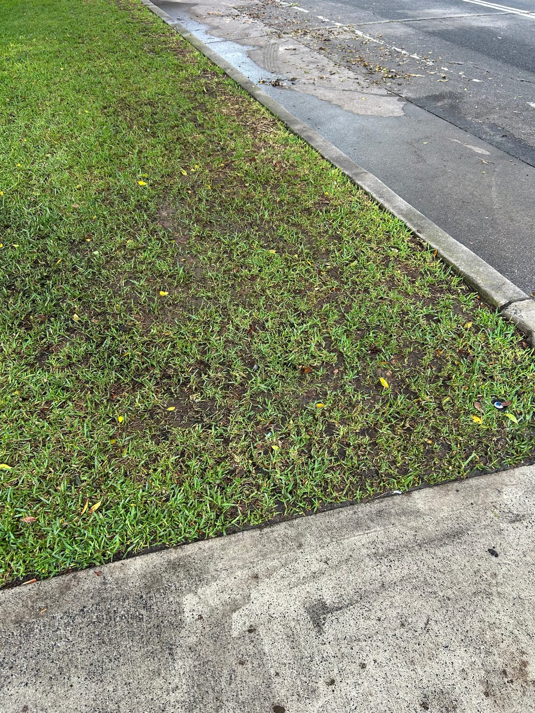 Customer photo review of Grandfalls Retractable Pressure Washer G20