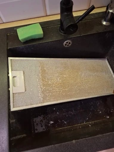 Customer photo review of SteamForce™ | Pro