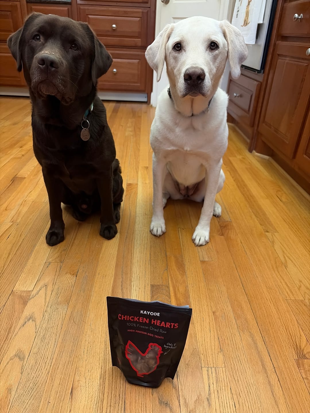 Customer photo review of Chicken Hearts Treats