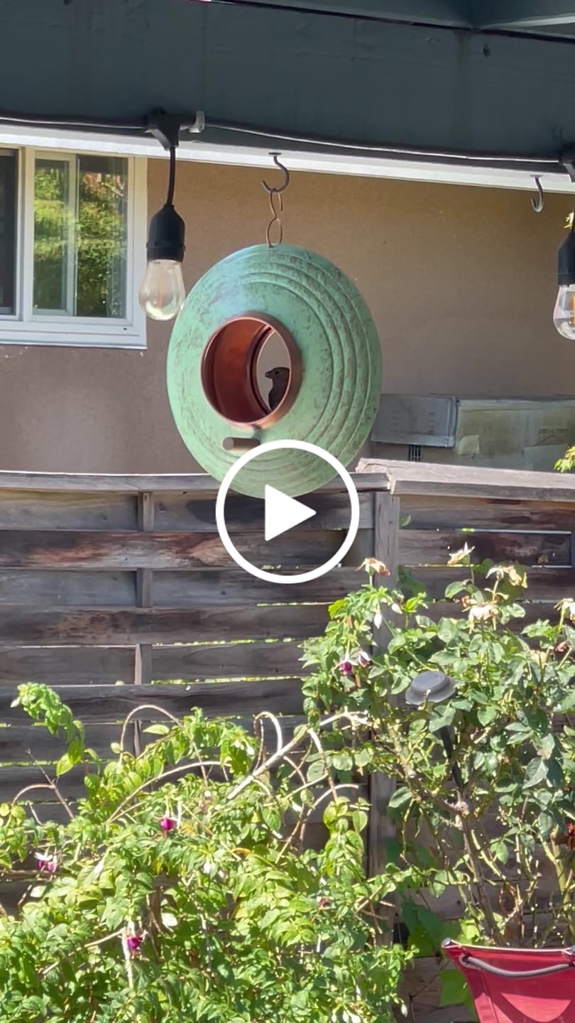 Customer video review of Jade Fly-Thru Feeder