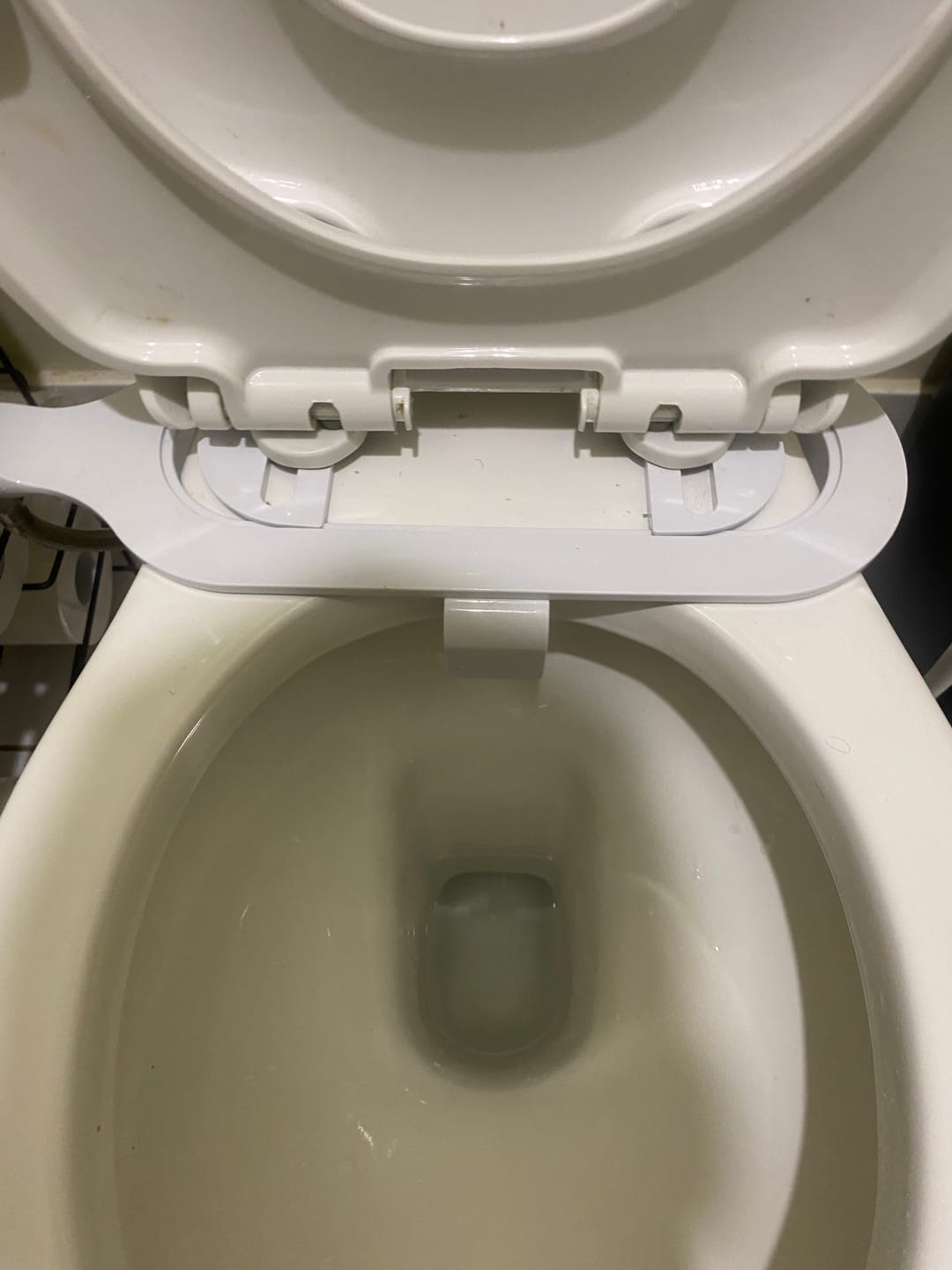 Customer photo review of Hygienex® Original Bidet 2.0