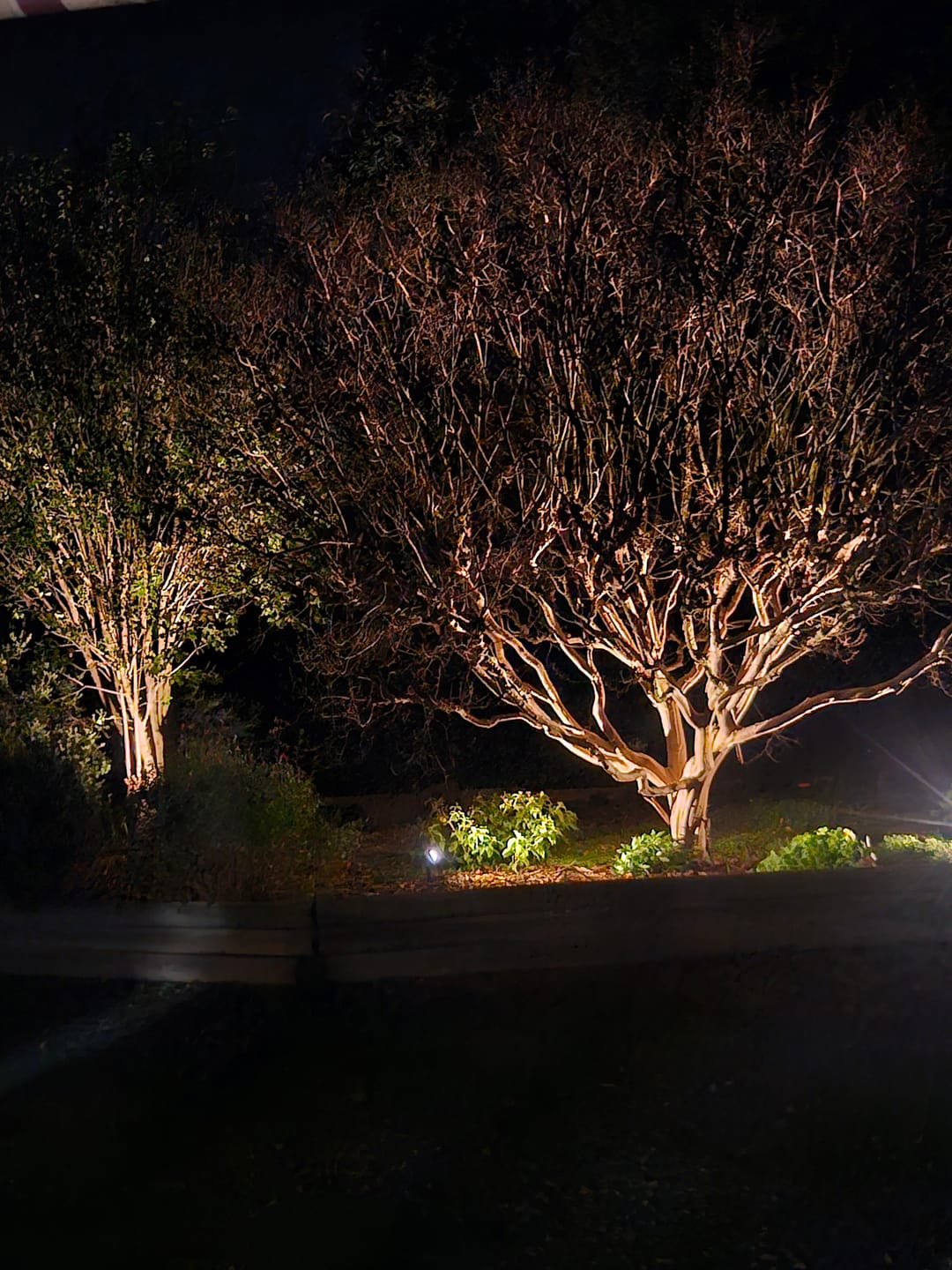 Customer photo review of SolaGarden™ Spot Light Pack