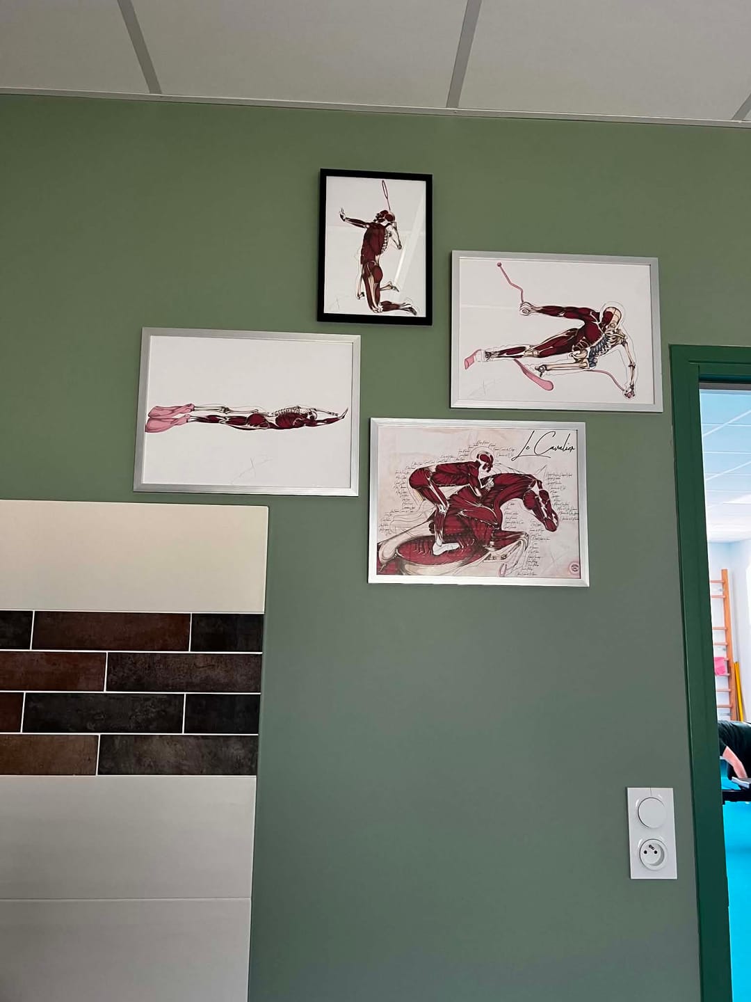 Customer photo review of Anatomie du cheval - Planche anatomique du cavalier